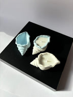 Candles & Shell Dish Set JULE ✨