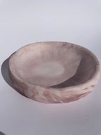 Bowl SVENNO✨
